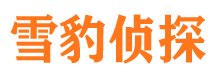 青铜峡市侦探调查公司